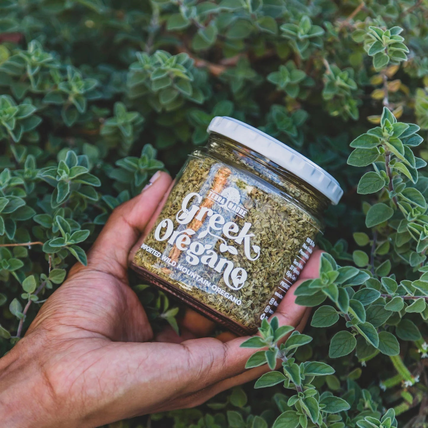 Terra Madre Imported Greek Oregano 50g
